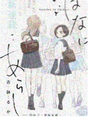 城市盲盒 综艺在线观看封面